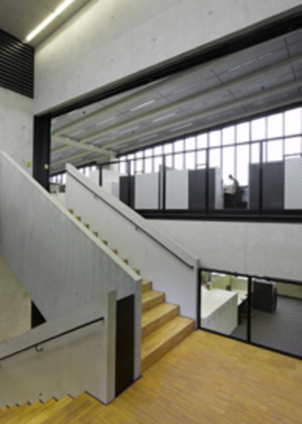 In jeder Bürospange verbinden die Treppenhäuser die offenen Splitlevel-Ebenen